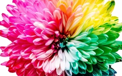 The Six Healing Sounds