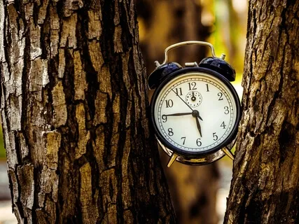 The Six-Minute Pause