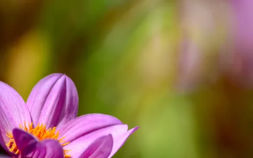 The Six Steps Of The Affirmative Prayer