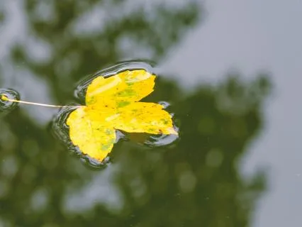 The Skill Of Grieving: Finding Meaning In A Changing World