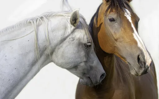 The Skill Of Tenderness - Radiance Sutras #64