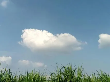 The Sky And The Soil: A Love Older Than Time