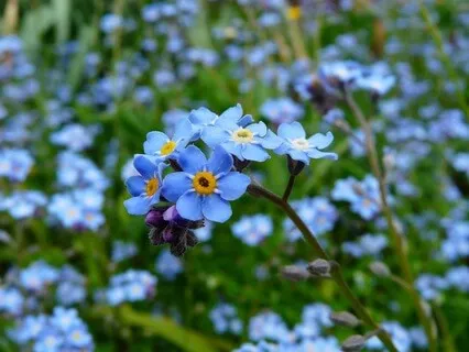 The Sky Behind The Clouds - May 18