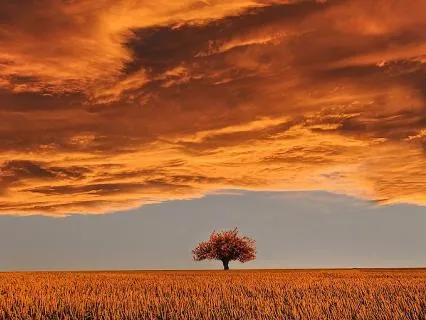 The Sky Within: Find Calm In The Storm