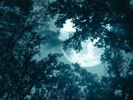 The Sleep Awakening With 528 Hz