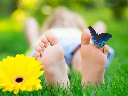 For Kids: The Sleepy Butterfly