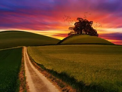 The Sleepy Road For Peaceful Sleep