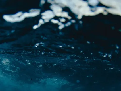 The Slow Dance Of The Magic Whale Sleep Meditation