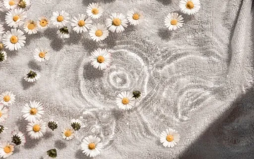 The Slow Down Meditation | Guided Relaxation