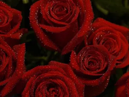 The Slow Unravel – Quiet The Mind And Ease Into Rest