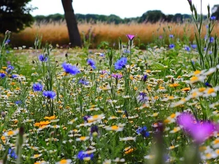 The Smile On Your Face