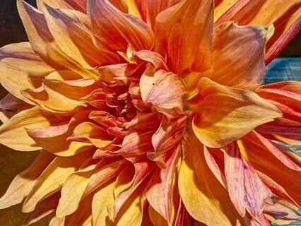 The Snow Globe Meditation For Bedtime