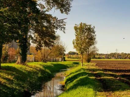 The Soft Space Of Forgiveness