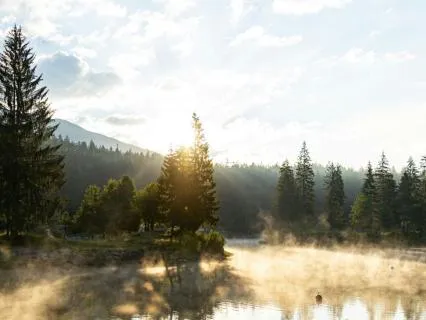 The Softening: Gentle Forgiveness: Letting Go & Self-Healing