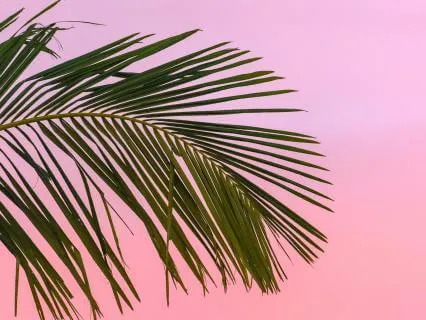 The Softness Of Summer Emotions | 90 Seconds Practice