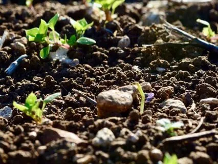 The Soil And The Groundwater