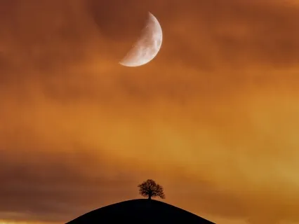 The Song For The Wind (Piano & Cello)