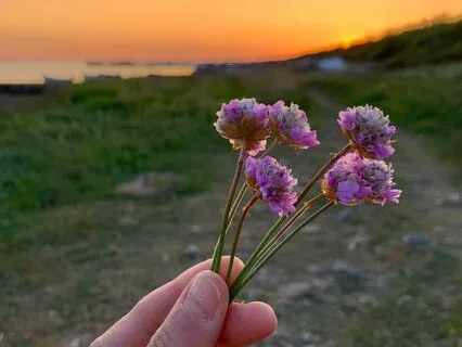 The Soothing Series - Evening Gratitude Meditation