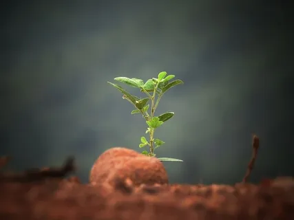 The Soul Of Creation