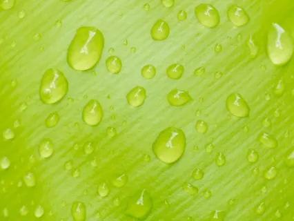 The SOUL Practice For Listening Deeply