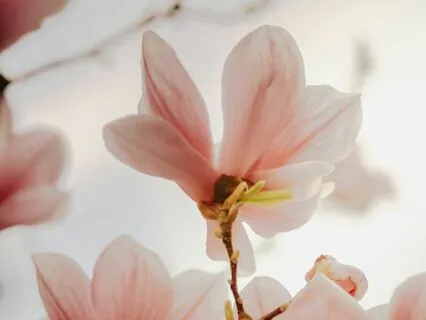 The Soul's Blindside - An Exploration Beyond Self