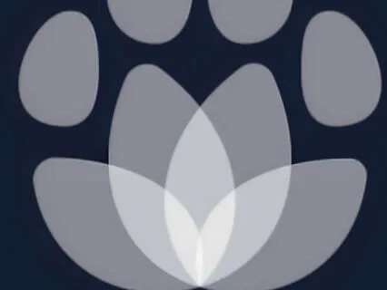 The Soul & Science Of Calm: A 5-Element Meditation