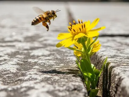 The Soulful Cure For Constant Distractions