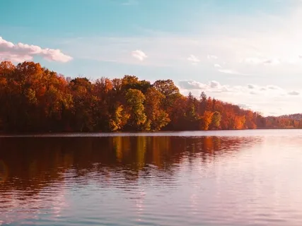 The Sound Is Your Anchor