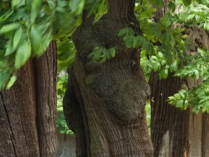 The Sound Of Generosity