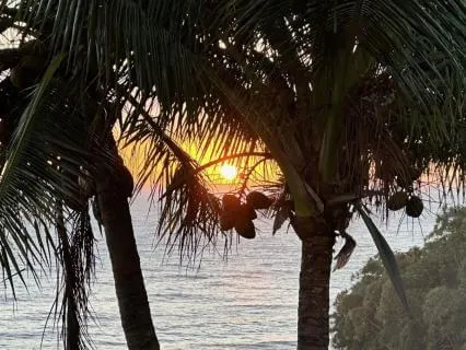 The Sound Of Morning: Awaken Inner Peace