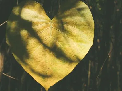 The Sound Of Silence