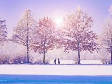 Reflections Of The Seasons - Winter