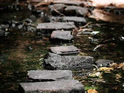 The Sounds Of The Wild River