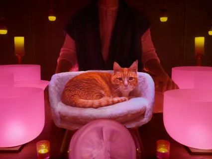 The Soundtrack To Your Dreams (+ Rain Sounds)