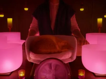 The Soundtrack To Your Dreams