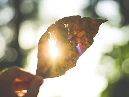 The Source Energy - Guru Thanet