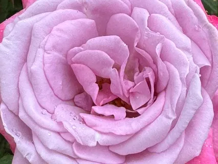 The Source Of Inspiration