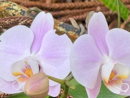 The Source Of The Resource Within