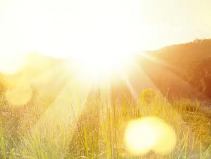 The Sovereign Sun: A Summer Solstice Journey