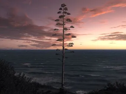 The Space Between (Longer Version)