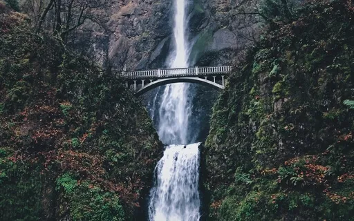 The Space Between Thoughts