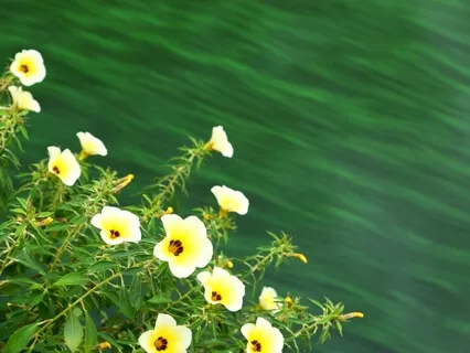 The Space Between Your Heartbeats