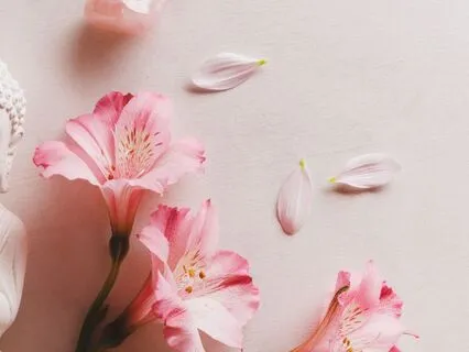 The Space In Between: Entering The Stillness Beyond Thought