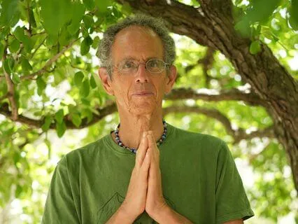 The Space Within Form