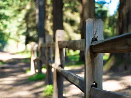 The Space You Carry: A Somatic Meditation On Inner Awareness