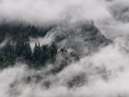 The Spirit Of God Is In My Nostrils