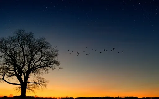 The Spirit Of Light (Piano)