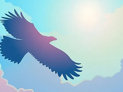 The Eagle's Perspective