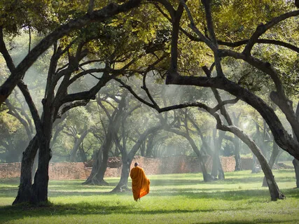 The Spiritual Journey Of Meditation