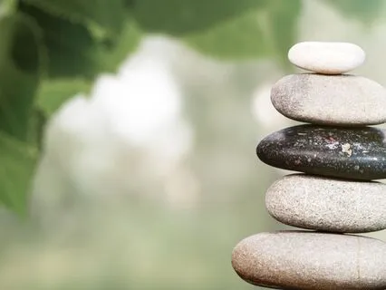 The Spleen And Stomach Realm